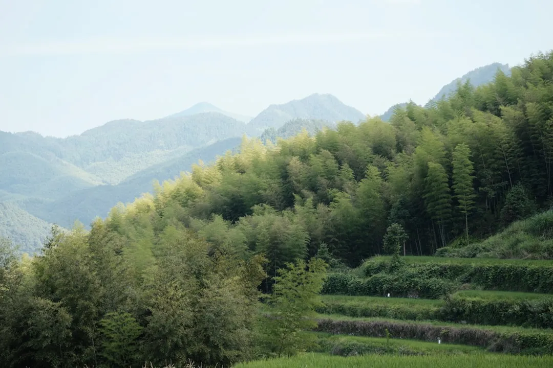 手机换屏工艺升级对电池更换兼容性的技术解析